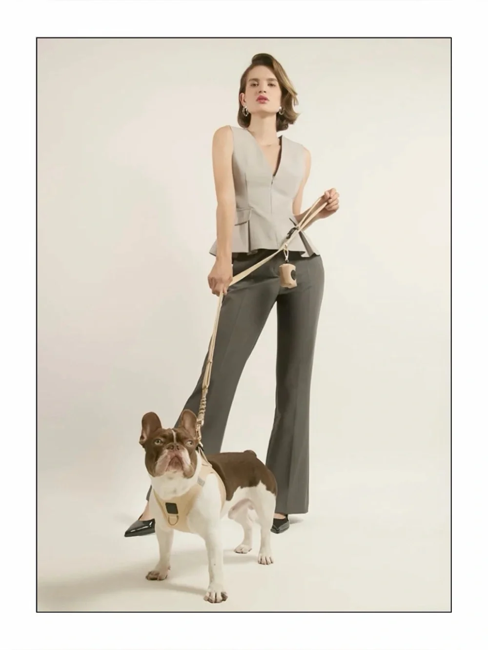 NWT Dogistry New York SoHo Dog Harness with D-Ring Size: Medium - Color: Dune